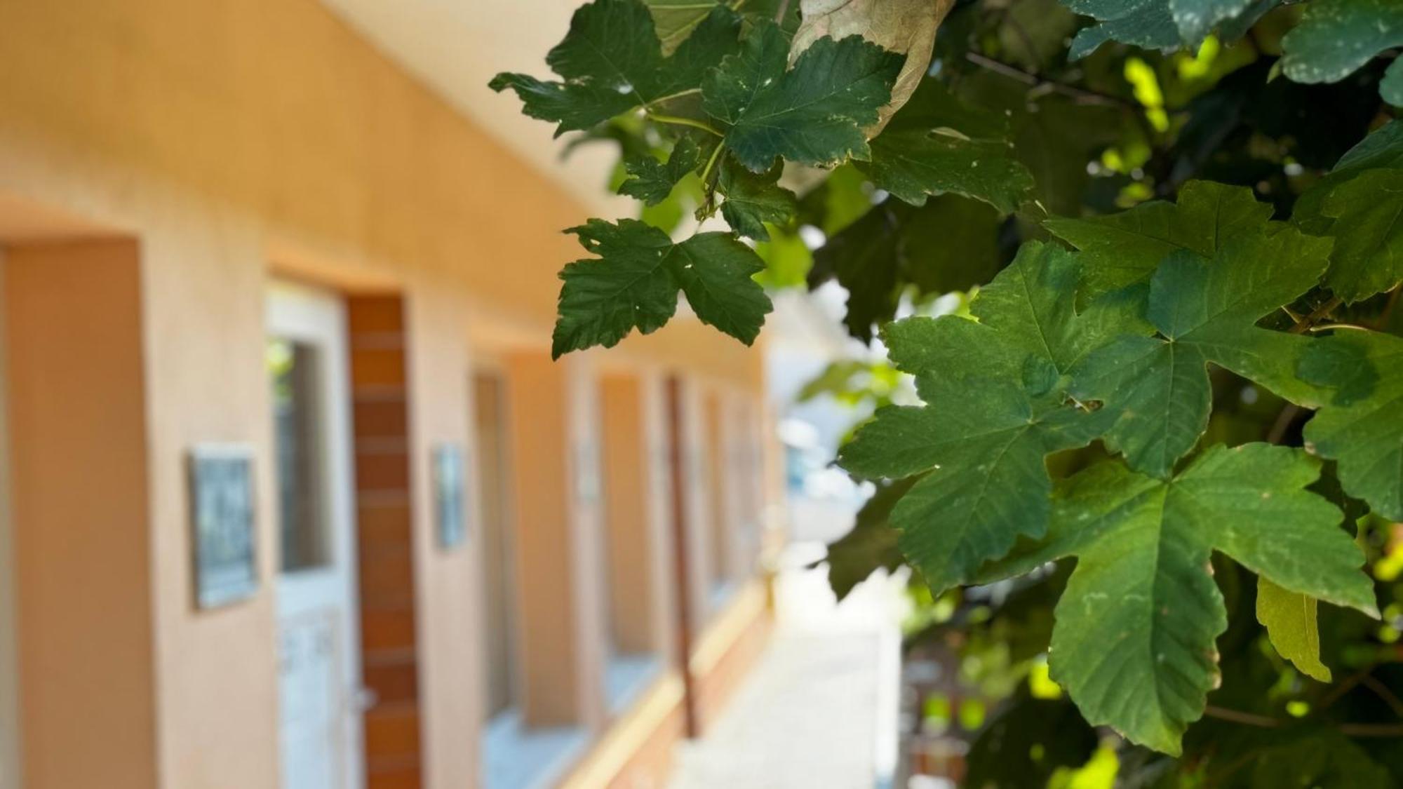 Rhein-Hotel Nierstein Ngoại thất bức ảnh